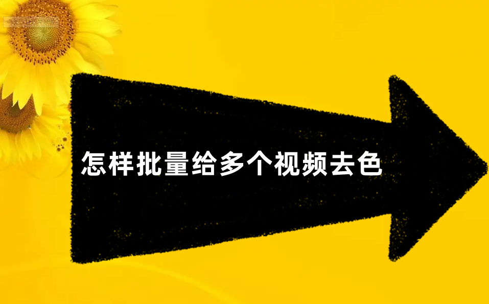 色视频软件下载_(下载短视频的软件哪款好)